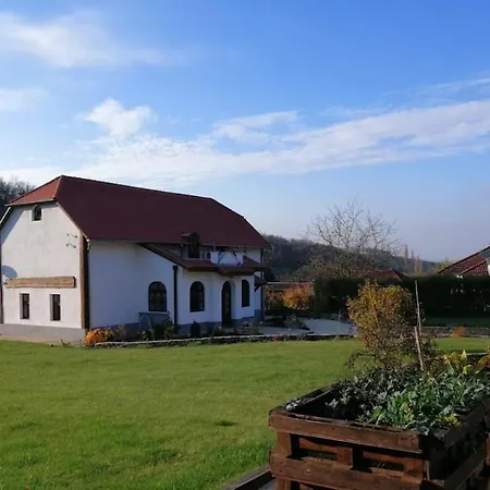 Zalanka Apartment *